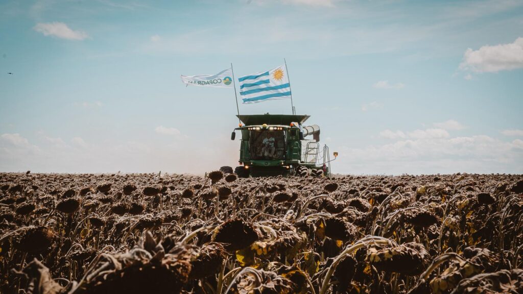 Inicio Cosecha de Verano de Copagran