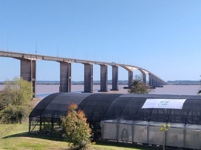 Puente San Martín.